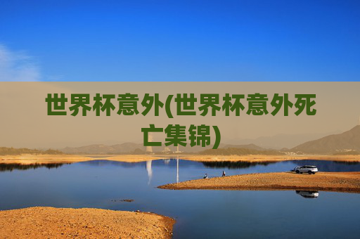 世界杯意外(世界杯意外死亡集锦)