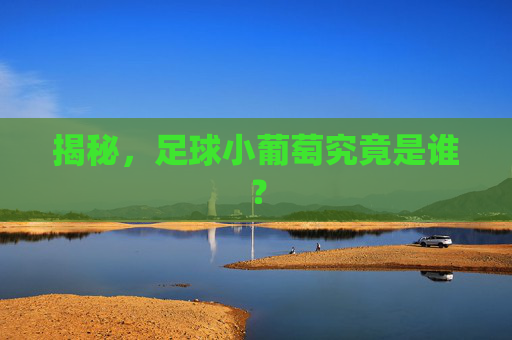揭秘,足球小葡萄究竟是谁?