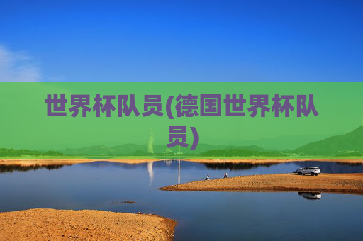 世界杯队员(德国世界杯队员)