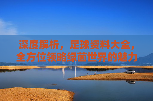深度解析,足球资料大全,全方位领略绿茵世界的魅力
