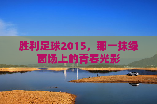 胜利足球2015,那一抹绿茵场上的青春光影
