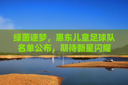 绿茵逐梦,惠东儿童足球队名单公布,期待新星闪耀