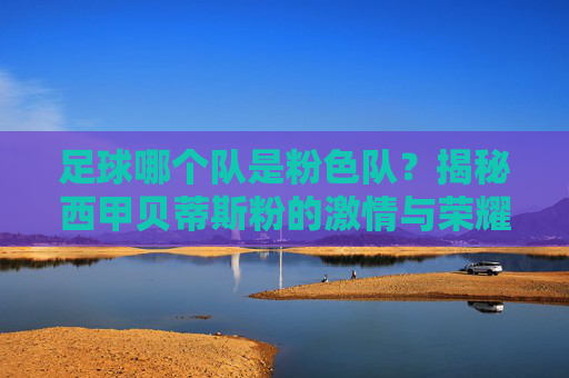 足球哪个队是粉色队?揭秘西甲贝蒂斯粉的激情与荣耀