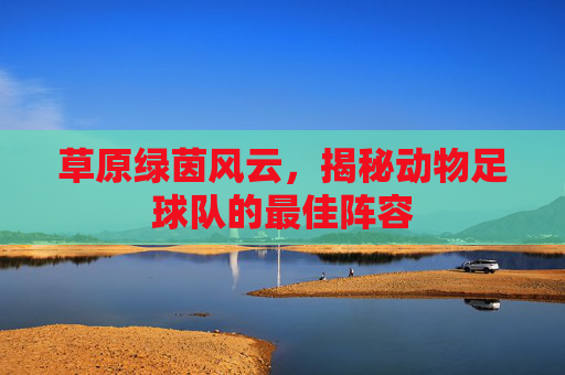 草原绿茵风云,揭秘动物足球队的最佳阵容