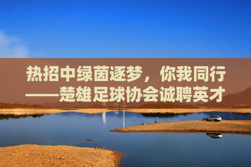 热招中绿茵逐梦,你我同行——楚雄足球协会诚聘英才