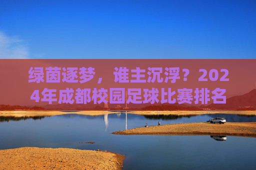 绿茵逐梦,谁主沉浮?2024年成都校园足球比赛排名深度解析