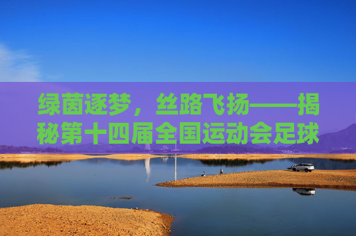 绿茵逐梦,丝路飞扬——揭秘第十四届全国运动会足球比赛举办地