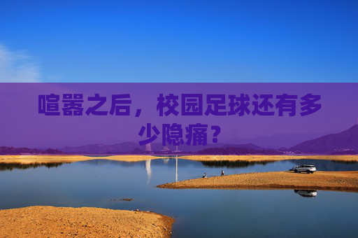 喧嚣之后,校园足球还有多少隐痛?