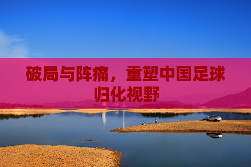 破局与阵痛,重塑中国足球归化视野
