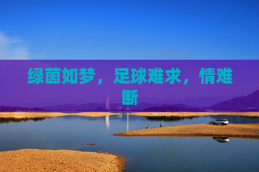 绿茵如梦,足球难求,情难断