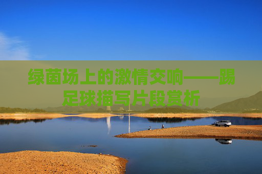 绿茵场上的激情交响——踢足球描写片段赏析