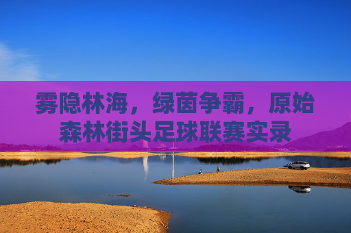 雾隐林海,绿茵争霸,原始森林街头足球联赛实录