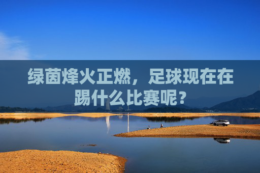 绿茵烽火正燃,足球现在在踢什么比赛呢?