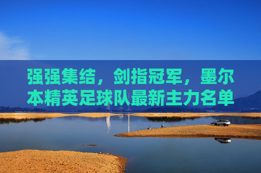 强强集结,剑指冠军,墨尔本精英足球队最新主力名单深度解析