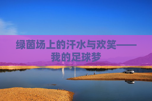 绿茵场上的汗水与欢笑——我的足球梦