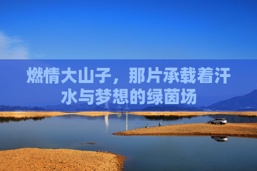 燃情大山子,那片承载着汗水与梦想的绿茵场