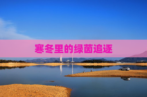 寒冬里的绿茵追逐