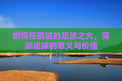 燃烧在鹏城的足球之火,深圳足球的意义与价值