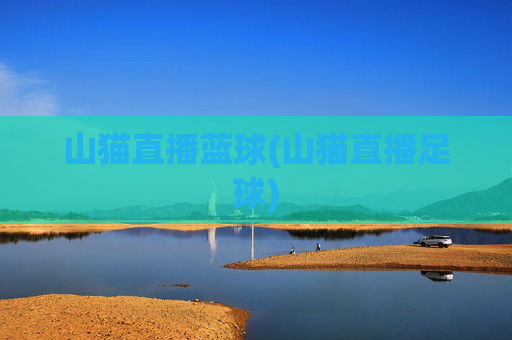 山猫直播蓝球(山猫直播足球)