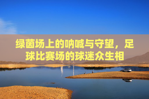 绿茵场上的呐喊与守望,足球比赛场的球迷众生相