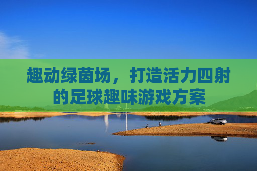 趣动绿茵场,打造活力四射的足球趣味游戏方案