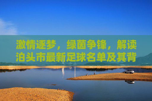 激情逐梦,绿茵争锋,解读泊头市最新足球名单及其背后的力量