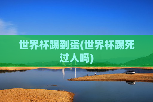 世界杯踢到蛋(世界杯踢死过人吗)