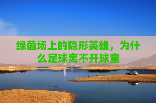绿茵场上的隐形英雄,为什么足球离不开球童