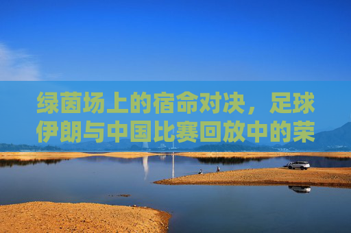 绿茵场上的宿命对决,足球伊朗与中国比赛回放中的荣耀与遗憾
