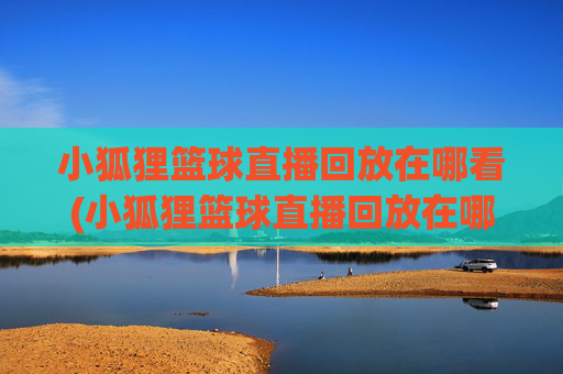 小狐狸篮球直播回放在哪看(小狐狸篮球直播回放在哪看啊)