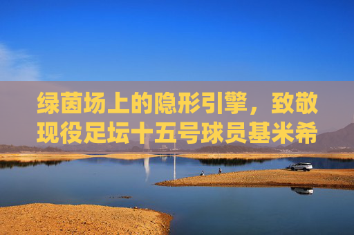 绿茵场上的隐形引擎,致敬现役足坛十五号球员基米希的全面进化