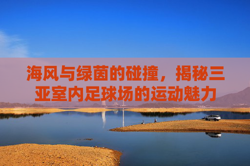 海风与绿茵的碰撞,揭秘三亚室内足球场的运动魅力