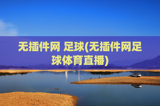 无插件网 足球(无插件网足球体育直播)