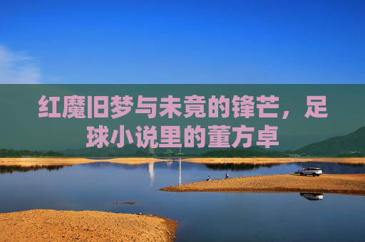 红魔旧梦与未竟的锋芒,足球小说里的董方卓
