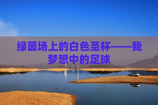 绿茵场上的白色圣杯——我梦想中的足球