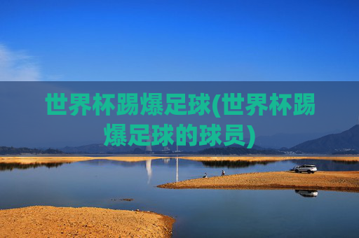世界杯踢爆足球(世界杯踢爆足球的球员)