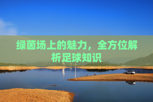 绿茵场上的魅力,全方位解析足球知识