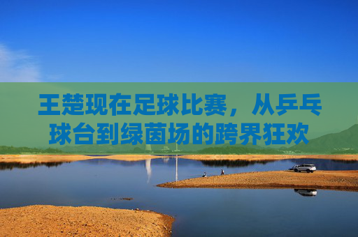 王楚现在足球比赛,从乒乓球台到绿茵场的跨界狂欢