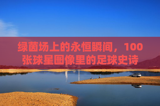 绿茵场上的永恒瞬间,100张球星图像里的足球史诗