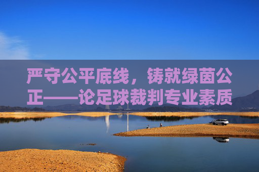 严守公平底线,铸就绿茵公正——论足球裁判专业素质考试的重要性