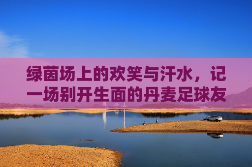绿茵场上的欢笑与汗水,记一场别开生面的丹麦足球友谊赛