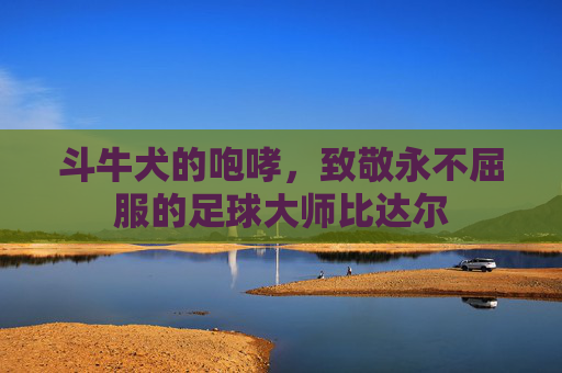 斗牛犬的咆哮,致敬永不屈服的足球大师比达尔