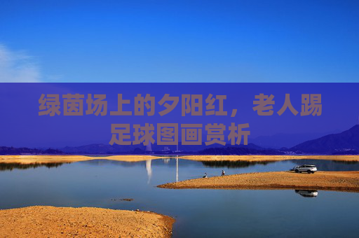 绿茵场上的夕阳红,老人踢足球图画赏析