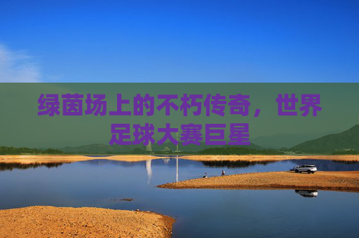 绿茵场上的不朽传奇,世界足球大赛巨星