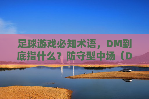 足球游戏必知术语,DM到底指什么?防守型中场(Defensive Midfielder)全解析