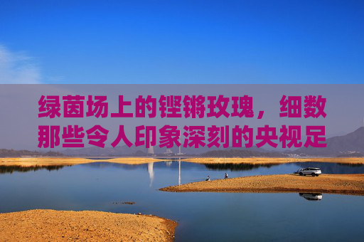 绿茵场上的铿锵玫瑰,细数那些令人印象深刻的央视足球女主持