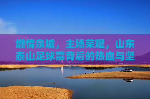 燃情泉城,主场荣耀,山东泰山足球票背后的热血与坚守