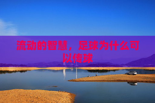 流动的智慧,足球为什么可以传球