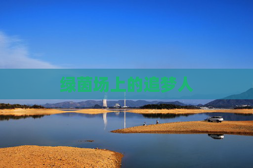 绿茵场上的追梦人