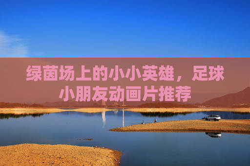 绿茵场上的小小英雄,足球小朋友动画片推荐